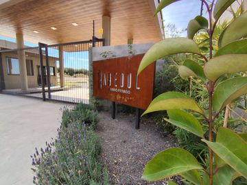 Se vende lote PH en  Lujan de Cuyo, Mendoza