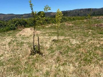 Parcela en venta en SANTA JUANA
