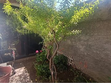 SE VENDE CASA CENTRAL EN LA REINA
