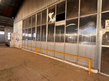 VENTA DE NAVE INDUSTRIAL CHOELE CHOEL RIO NEGRO