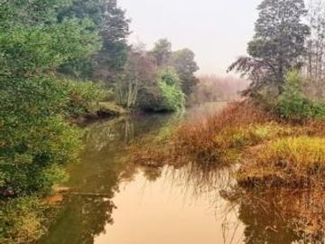 Parcela en Venta en Piedra Blanca