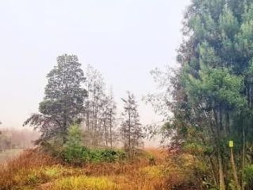 Parcela en Venta en Piedra Blanca