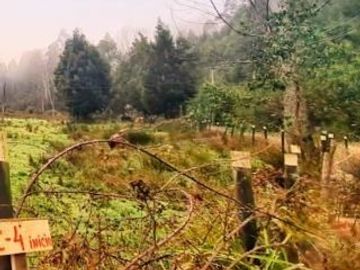 Parcela en Venta en Piedra Blanca
