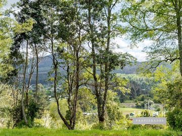 Parcela en Venta en Camino a los lagos