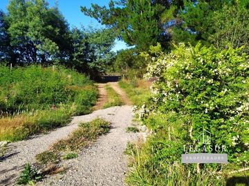 Parcela en Venta en Estero Huillinco S/N