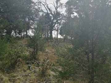 VENTA DE TERRENO EN EL RANCHO EL OSO EN DURANGO