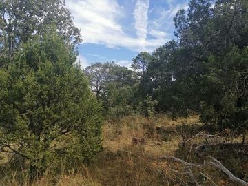 VENTA DE TERRENO EN EL RANCHO EL OSO EN DURANGO