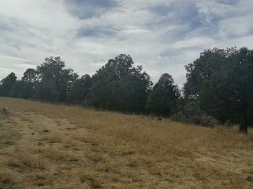 VENTA DE TERRENO EN EL RANCHO EL OSO EN DURANGO