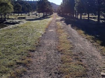 VENTA DE TERRENO EN EL RANCHO EL OSO EN DURANGO