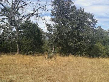 VENTA DE TERRENO EN EL RANCHO EL OSO EN DURANGO