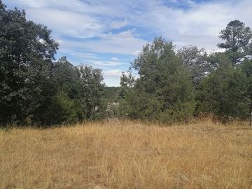 VENTA DE TERRENO EN EL RANCHO EL OSO EN DURANGO