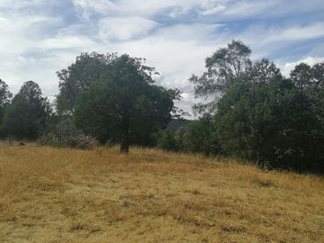 VENTA DE TERRENO EN EL RANCHO EL OSO EN DURANGO