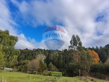 Parcela con Cabaña. Comuna de Los lagos. Loa Ríos.