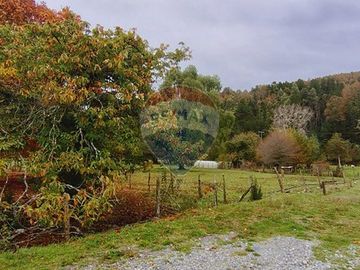 Parcela con Cabaña. Comuna de Los lagos. Loa Ríos.