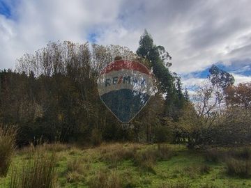 Parcela con Cabaña. Comuna de Los lagos. Loa Ríos.