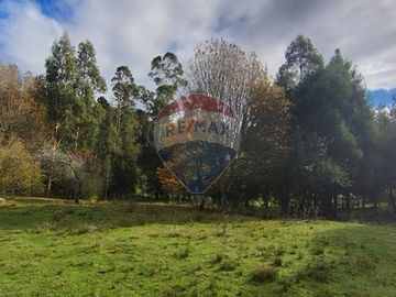 Parcela con Cabaña. Comuna de Los lagos. Loa Ríos.