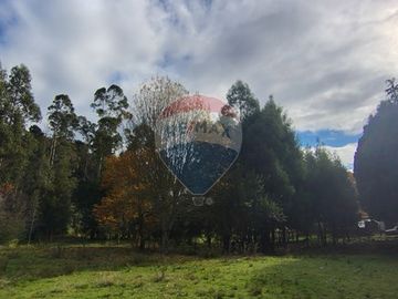 Parcela con Cabaña. Comuna de Los lagos. Loa Ríos.