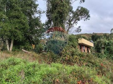 Parcela con Cabaña. Comuna de Los lagos. Loa Ríos.