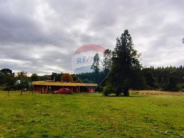 Parcela con Cabaña. Comuna de Los lagos. Loa Ríos.