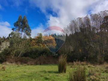Parcela con Cabaña. Comuna de Los lagos. Loa Ríos.