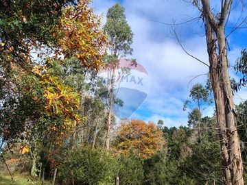 Parcela con Cabaña. Comuna de Los lagos. Loa Ríos.