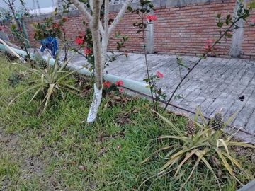 CASA DE CAMPO AMPLIO TERRENO FRENTE AL RIO TUXPAN.