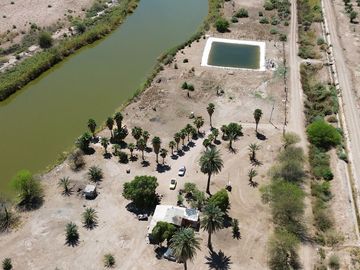 Rancho en Venta – Con Producción de Palmas Datileras y Sistema de Riego