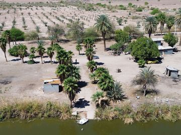Rancho en Venta – Con Producción de Palmas Datileras y Sistema de Riego