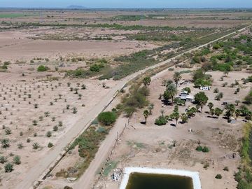 Rancho en Venta – Con Producción de Palmas Datileras y Sistema de Riego