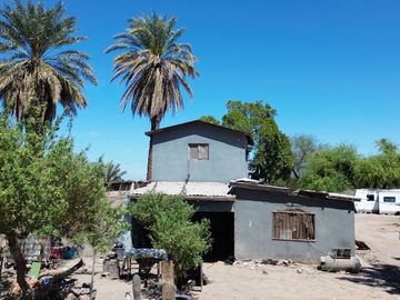 Rancho en Venta – Con Producción de Palmas Datileras y Sistema de Riego