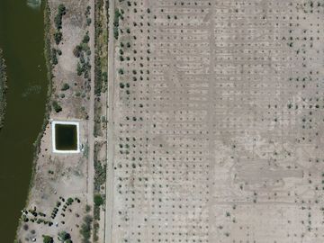 Rancho en Venta – Con Producción de Palmas Datileras y Sistema de Riego