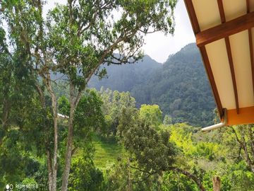 Vendo Apartamento En Venecia Antioquia Barrio El Paraiso