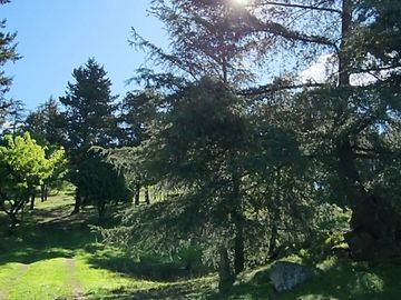 VENTA 7 HECTAREAS CON COSTA DE ARROYO CASCO DE ESTANCIA