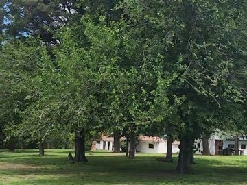 VENTA 7 HECTAREAS CON COSTA DE ARROYO CASCO DE ESTANCIA