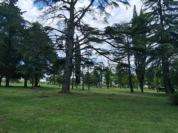 VENTA 7 HECTAREAS CON COSTA DE ARROYO CASCO DE ESTANCIA