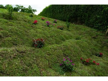Venta Casa Campestre Vía a la Tebaida. Quindío - Colombia COD: 7187083