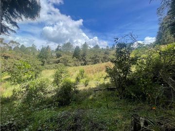VENTA DE CASA FINCA