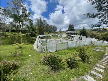 VENTA DE CASA FINCA