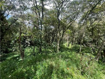 VENTA DE CASA FINCA