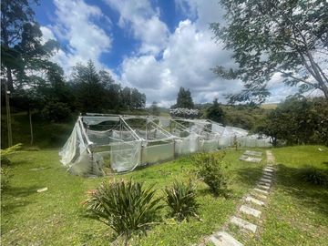 VENTA DE CASA FINCA