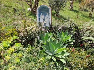 VENTA DE CASA FINCA