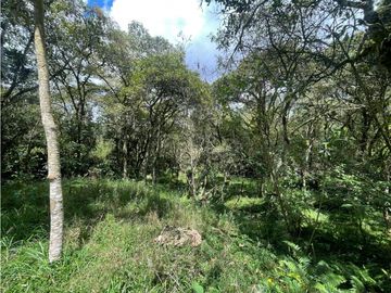 VENTA DE CASA FINCA
