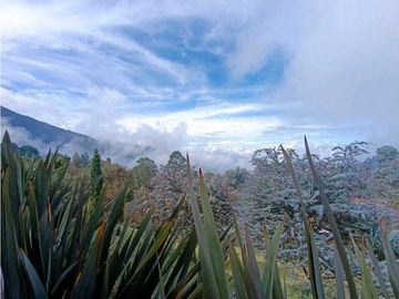 Casa Campestre En Venta, La Catedral - Envigado