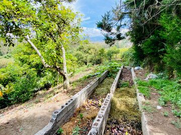 Hacienda de venta 2Ha. en Guayllabamba a $50 cada m/2 (con plantaciones de aguacate, limón, chirimoy