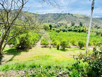 Hacienda de venta 2Ha. en Guayllabamba a $50 cada m/2 (con plantaciones de aguacate, limón, chirimoy