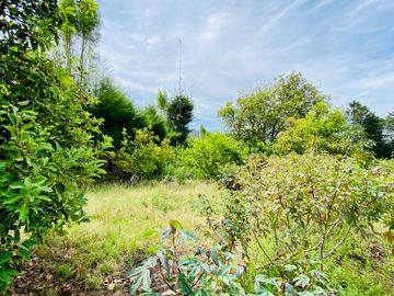 Hacienda de venta 2Ha. en Guayllabamba a $50 cada m/2 (con plantaciones de aguacate, limón, chirimoy