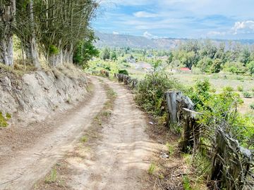 Hacienda de venta 2Ha. en Guayllabamba a $50 cada m/2 (con plantaciones de aguacate, limón, chirimoy