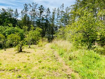 Hacienda de venta 2Ha. en Guayllabamba a $50 cada m/2 (con plantaciones de aguacate, limón, chirimoy