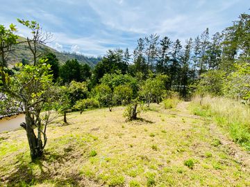 Hacienda de venta 2Ha. en Guayllabamba a $50 cada m/2 (con plantaciones de aguacate, limón, chirimoy