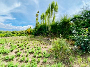 Hacienda de venta 2Ha. en Guayllabamba a $50 cada m/2 (con plantaciones de aguacate, limón, chirimoy